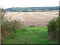 Looking Towards Medhone Farm