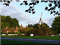 Chiddingfold Bonfire Under Construction