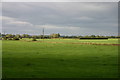 Fields, Enson Farm near Stafford