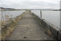 Disused jetty in The Queen