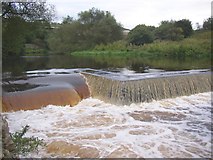 SE1221 : Weir on the River Calder, below Strangstry Wood, Elland by Humphrey Bolton