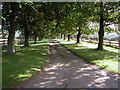 Driveway to Tagmoor Farm