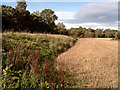 Levee and floodplain of the River Nairn