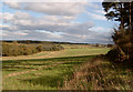 Foynesfield from the Crook Road