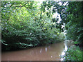 Shropshire Union Canal at Brownhills Wood