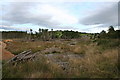 Forest clearance going east towards Knauchland.