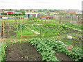 Allotment sheds Perkinsville