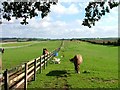 Paddocks, Off Brake Road