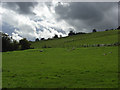 Pastures at Crowood Farm