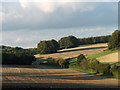 SU2975 : Farmland and copses, Membury by Andrew Smith