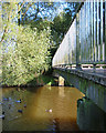 Ducks by the pedestrian bridge