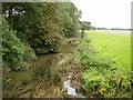 The Great Ouse River near Thornton