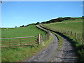 Track to Pwll-drainllwyn