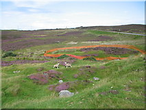 NC8765 : Keep off the heather by Phil Williams