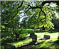 Sunlight through the trees, St Mary