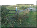 Permissive path onto Cilifor Top