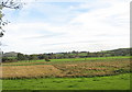 The Flood Plain of Afon Dwyfor