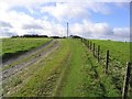 On the track leading to Penchrise Farm