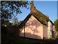 Thatched cottage in Alphington