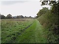 Well maintained footpath by Brockhurst Brook