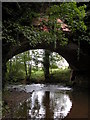 SO6570 : Aqueduct over the river Rea by Philip Halling