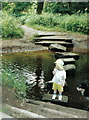 Stepping Stones over the river Lostock