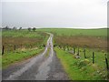 Track to Driffenbeg Farm