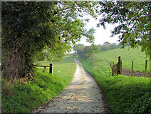TA0167 : Farm track (also a public bridleway) near Langtoft by Keith Allison