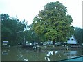 Evesham Lock