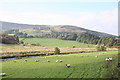 North of the River Don with Glenbuchat Castle right of centre.