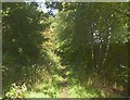 Bridleway from Elland Road to Binns Lane, Southowram