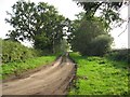 The Road From White House Farm