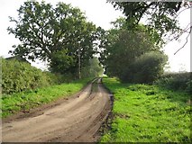 SE6161 : The Road From White House Farm by Roger Gilbertson