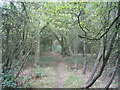 Footpath towards Town Wood, Laxton