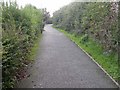 Footpath alongside Sandy Lane