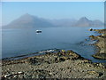 NG5113 : The Black Cuillin from Elgol by Dave Fergusson