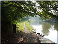 Macclesfield Canal, Hurdsfield