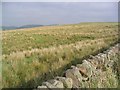 Rough grazing near Setthorns