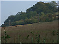 Farmland, Ramsbury