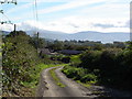N9614 : Lane to Newtown Park Blessington Co Wicklow by Hamish Bain