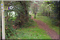 Bridleway near Brenscombe Heath