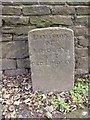 Boundary stone at Peat Ponds Farm, Lindley Moor Road, Old Lindley