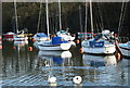 Yachts at anchor in the Seiont