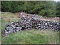 Old field wall, Clatteringshaws Forest