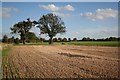 Farmland towards Harpswell Grange