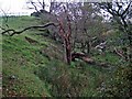 Small side valley near Barr