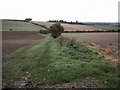 Field track at Poplar Farm