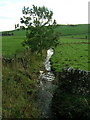 Deanston Burn at Rigfoot Bridge