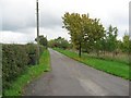 The Driveway To Fordington Lodge