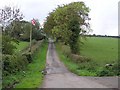 Road at Tattykeel